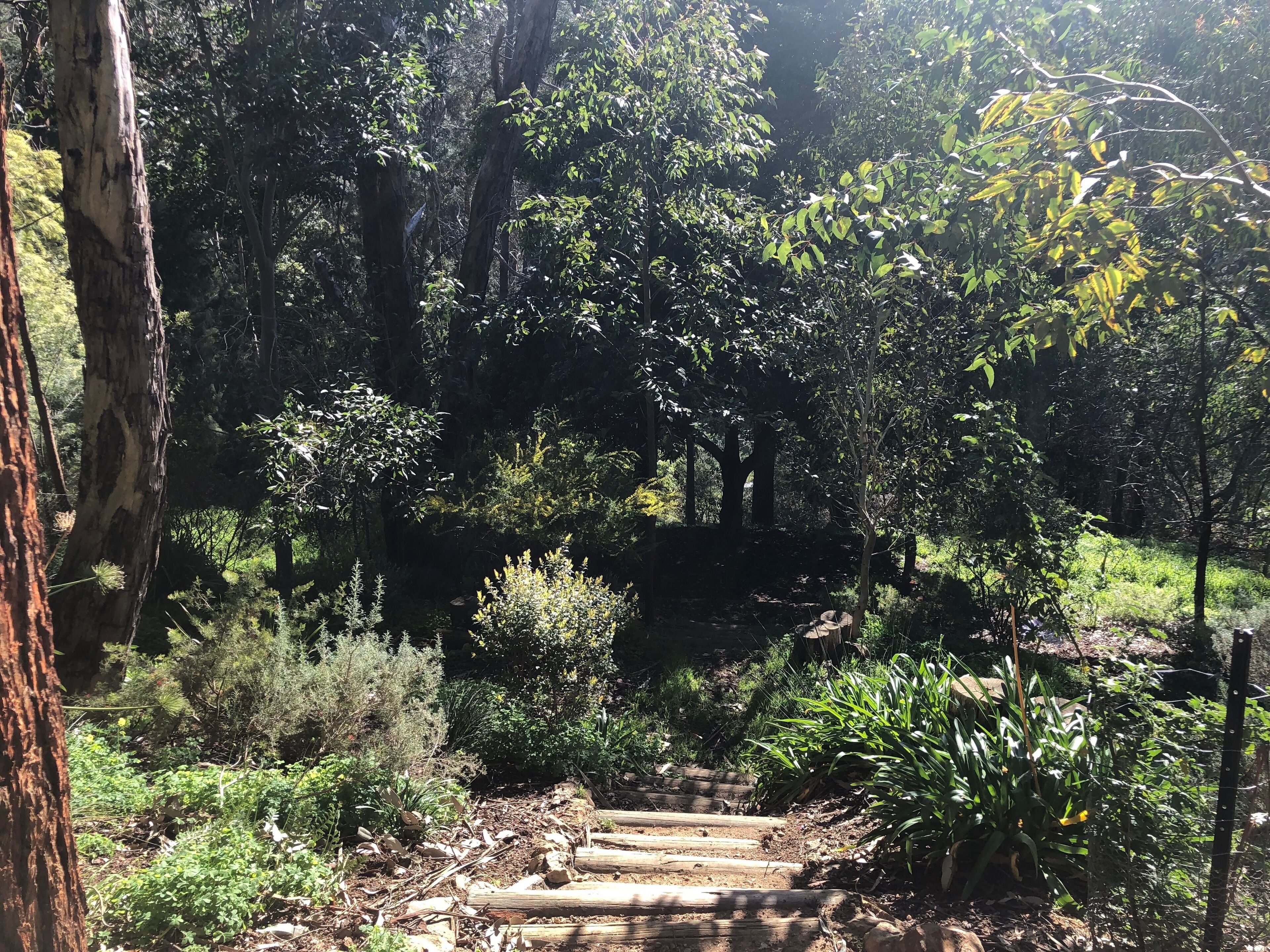 Ultra Dog Friendly Accommodation — image 23