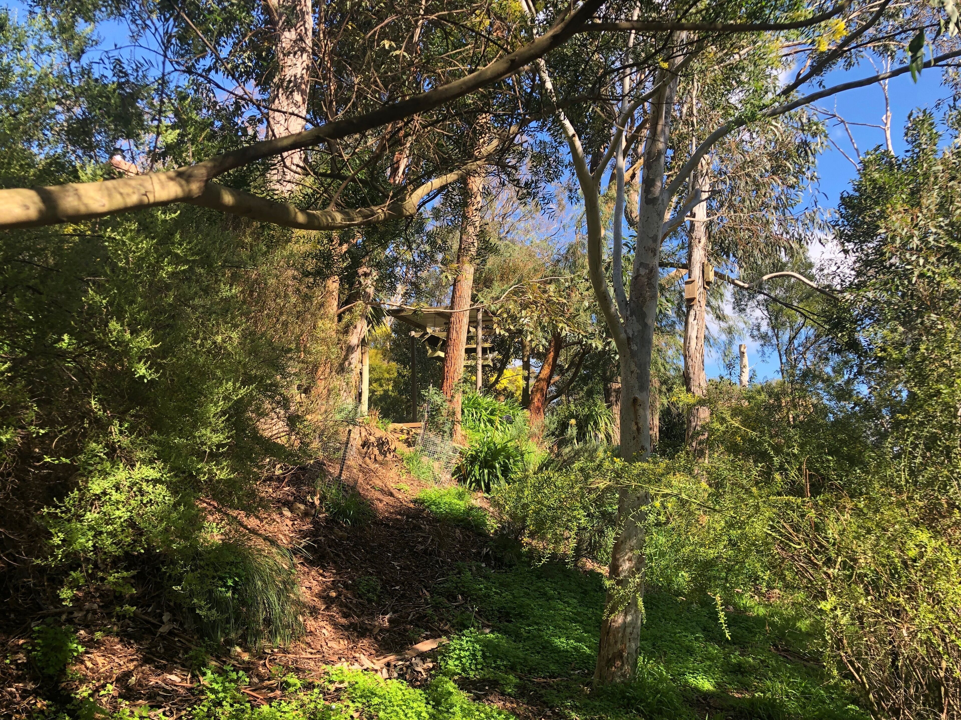 Ultra Dog Friendly Accommodation — image 24