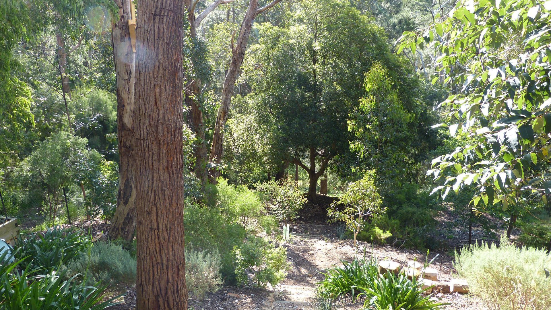 Ultra Dog Friendly Accommodation — image 21