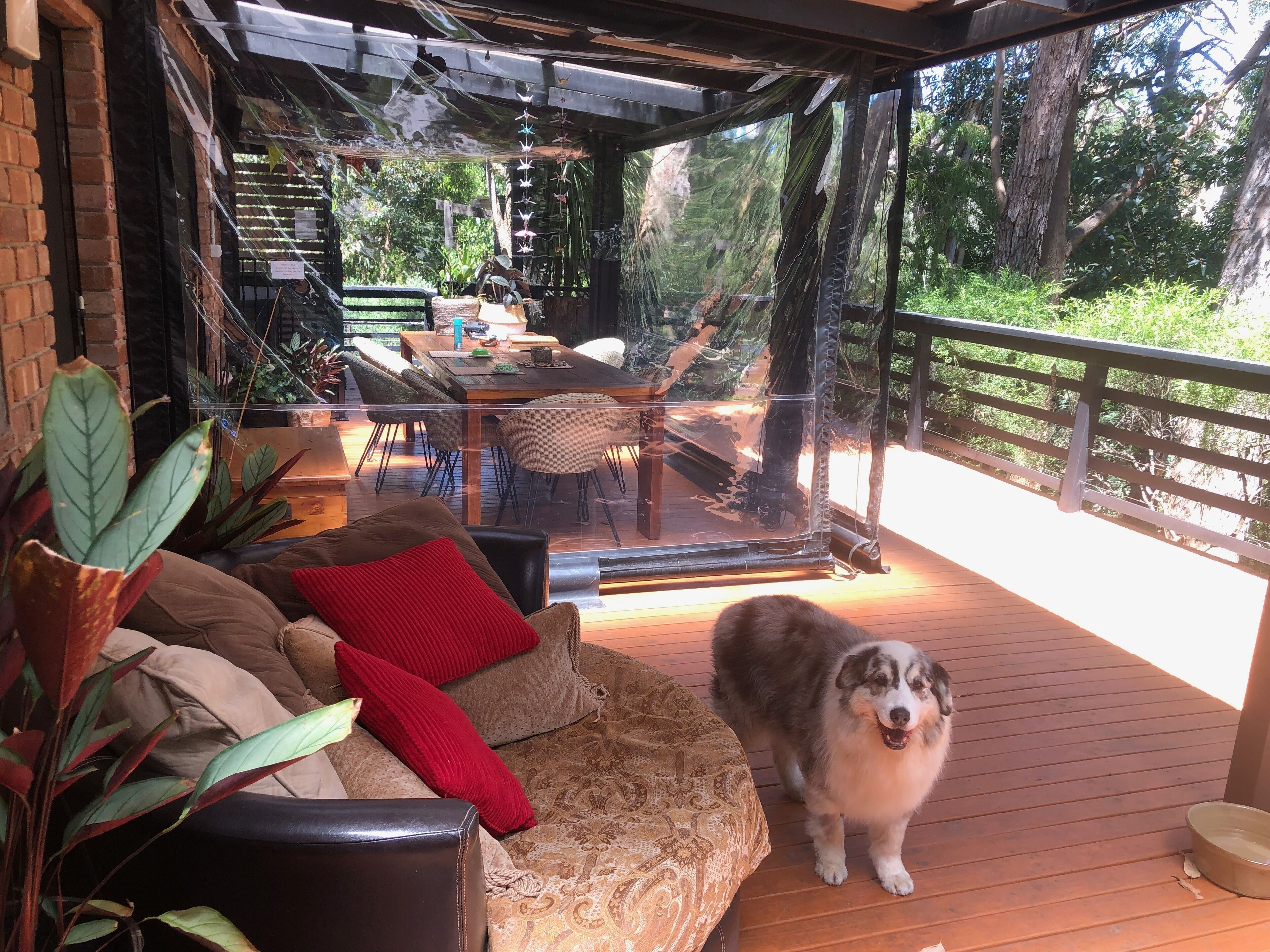 Ultra Dog Friendly Accommodation