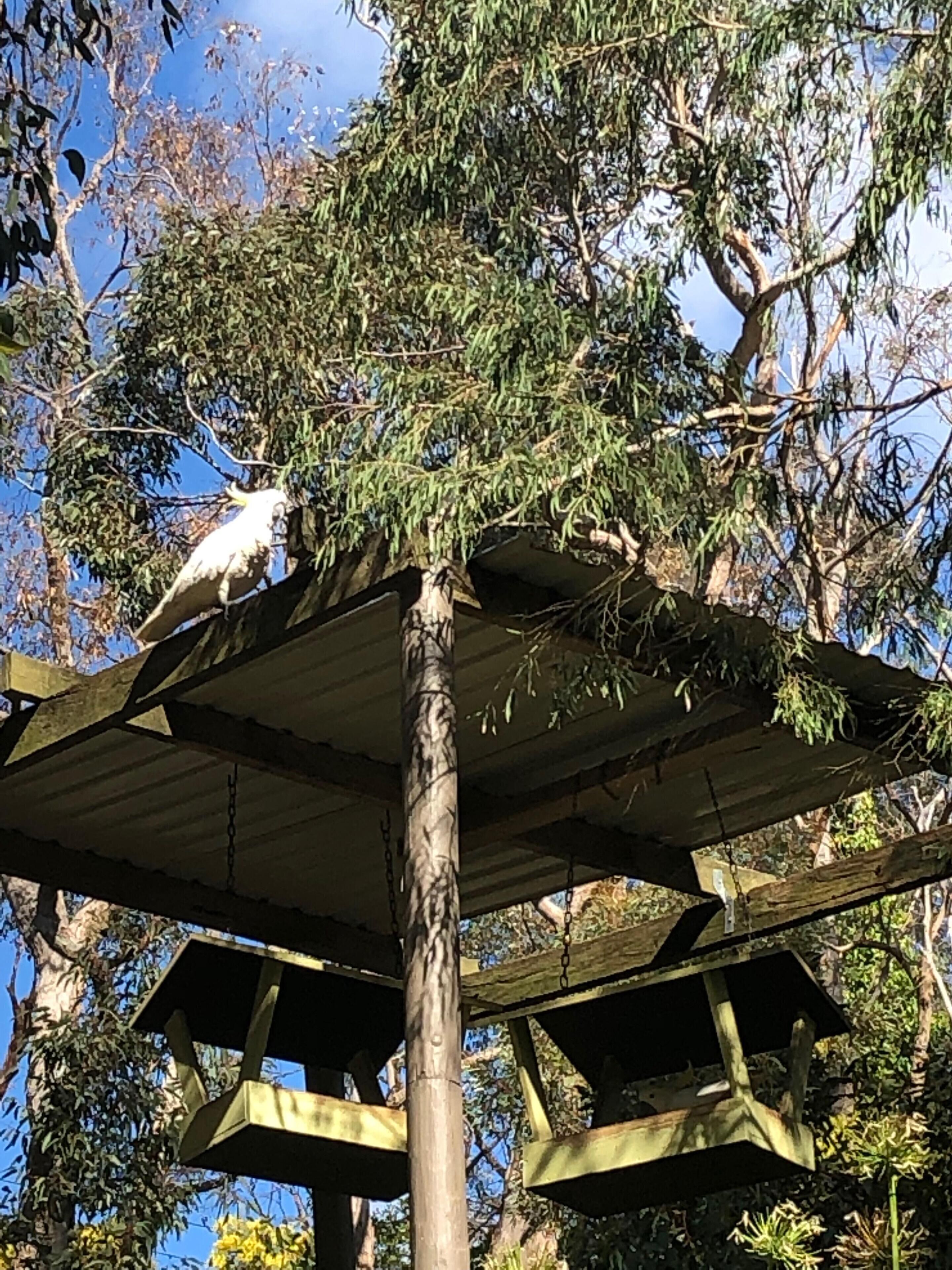 Ultra Dog Friendly Accommodation — image 26