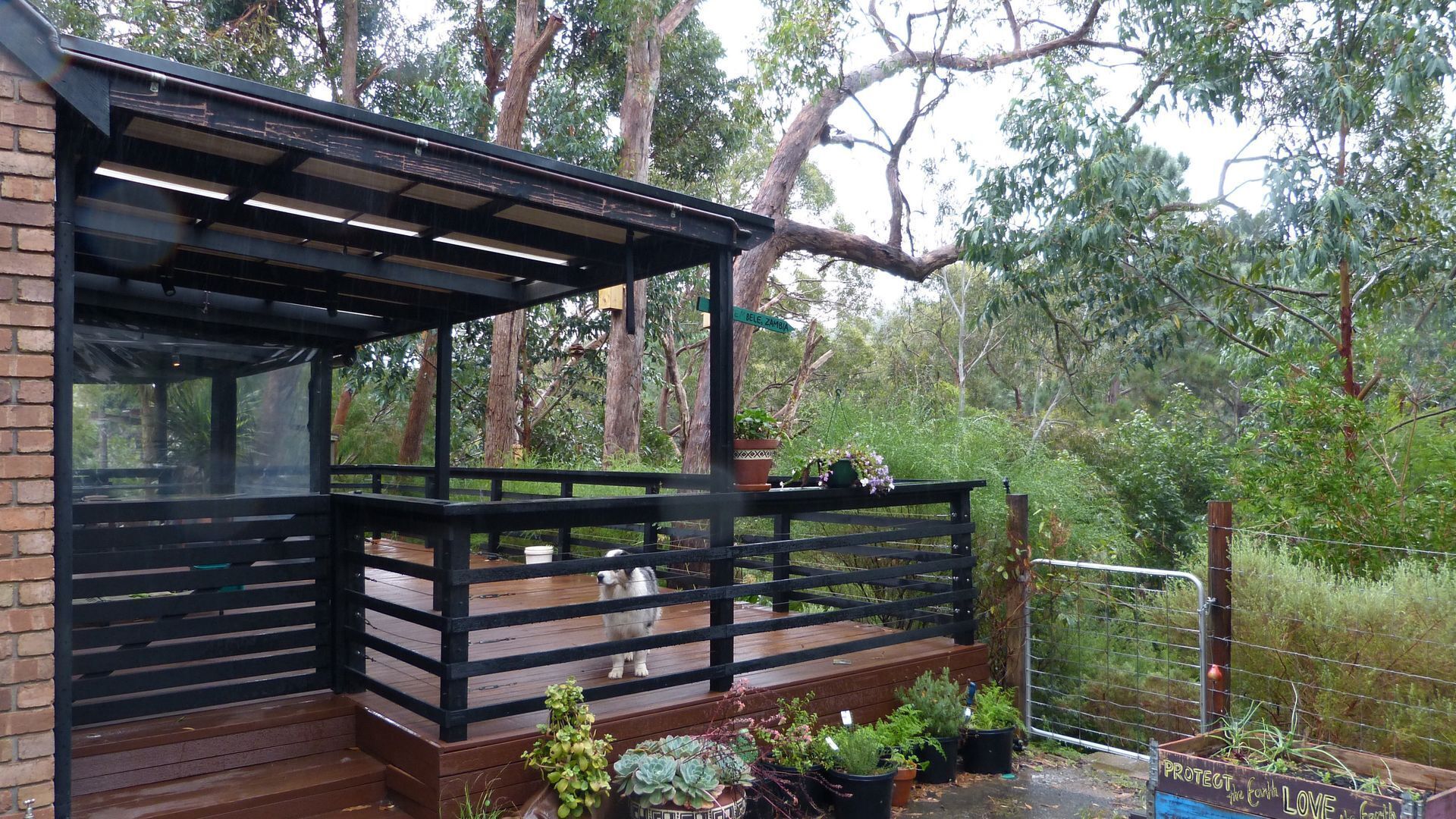 Ultra Dog Friendly Accommodation — image 6