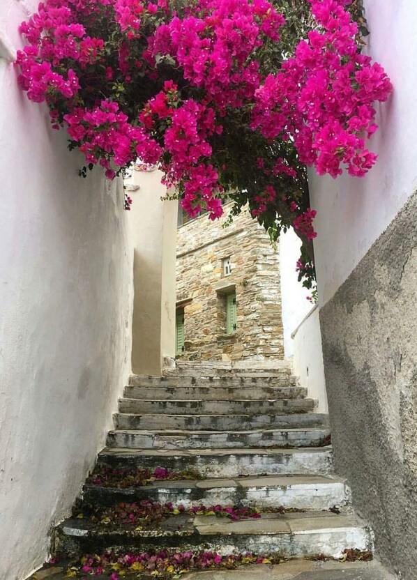 Terrain de l’hébergement 