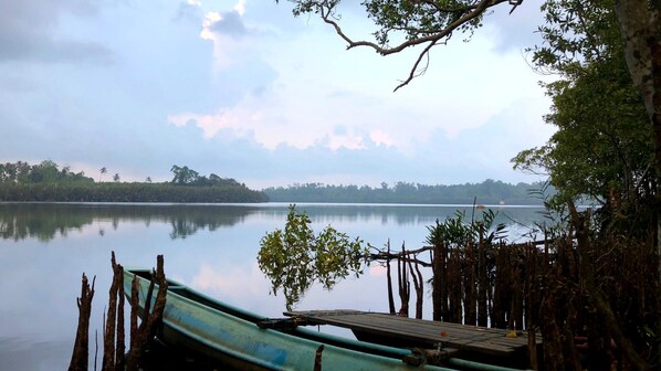 A calm lake with a dock and boats, surrounded by dense trees and a clear sky.