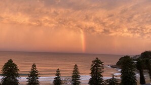 Eine Küstenlandschaft mit Bäumen, Meer und einem Regenbogen.