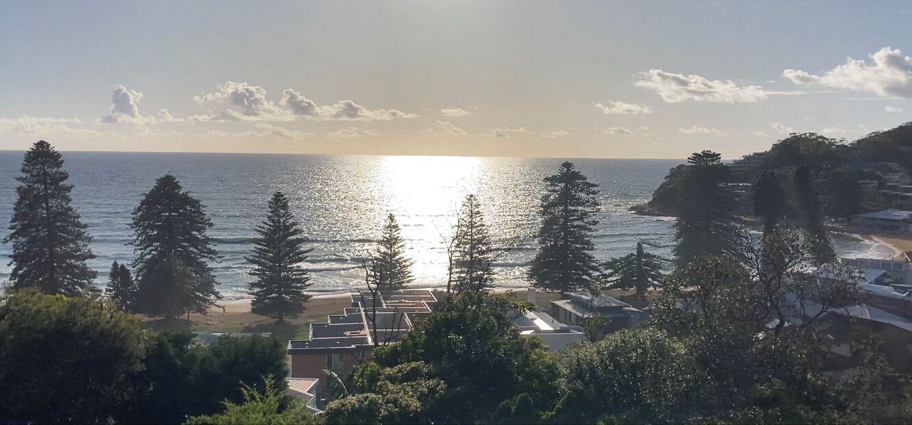A coastal view with the ocean, trees, and buildings.