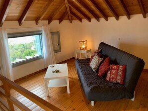 Smart TV, fireplace, DVD player, books