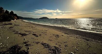 Superbe vue panoramique de la piscine villa -nĆ prĂšs neighbours- marcher vers les plages