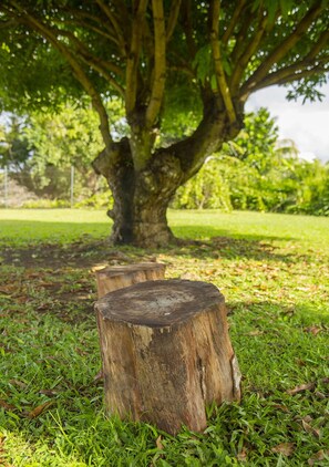 Overnattingsstedets uteområder