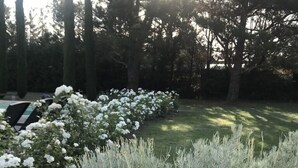 Ein Garten mit einem Steingartenbeet, das eine Pflanze mit silbrigen Blättern birgt, umgeben von weißen Blüten und hohen Bäumen im Hintergrund.