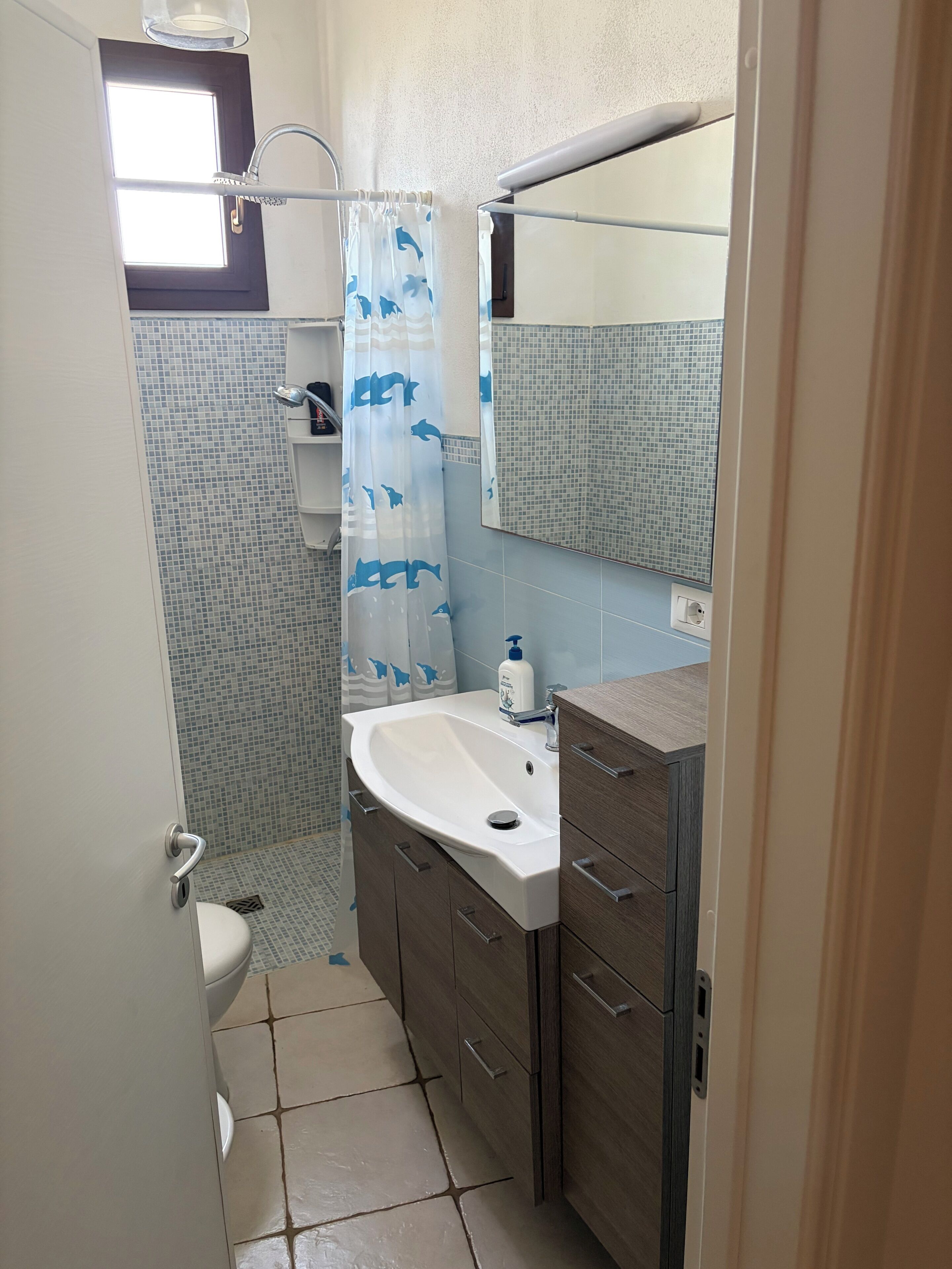 Un bagno con un lavandino bianco, un mobile contenitore in legno, uno specchio e una tenda da doccia con decori di delfini.