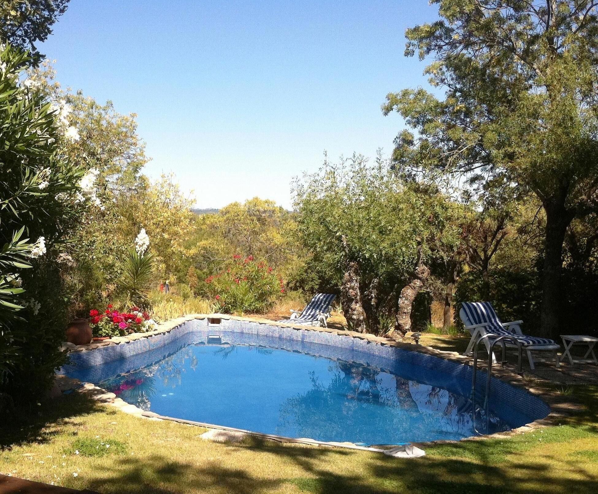 Swimming pool view from porch