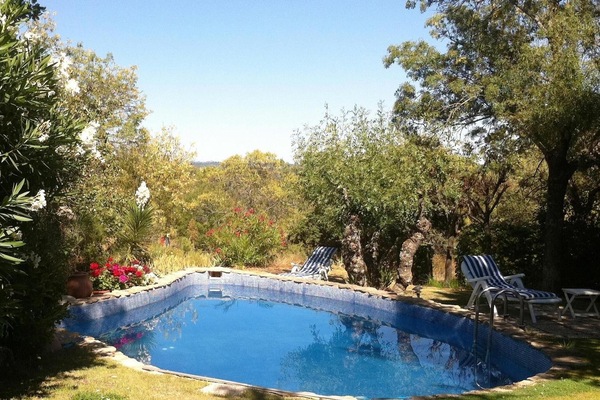 Swimming pool view from porch