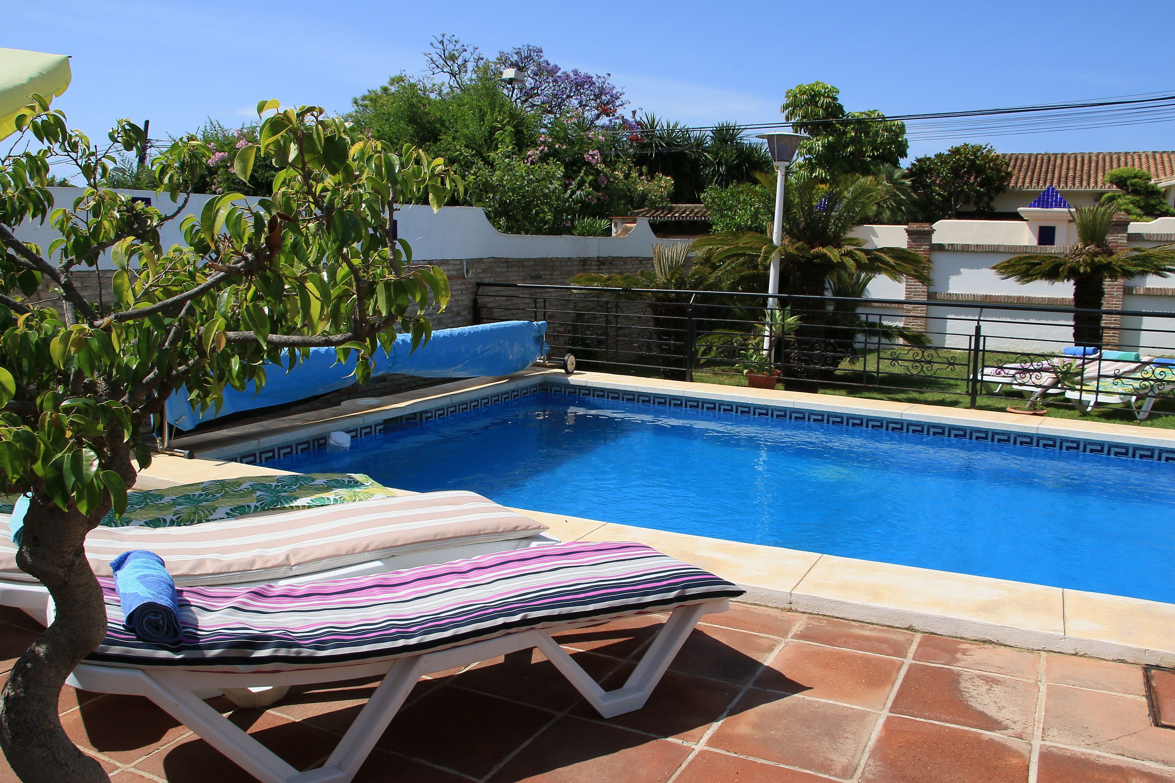 A swimming pool with a lounge chair and a sunbed, surrounded by a white wall and greenery.