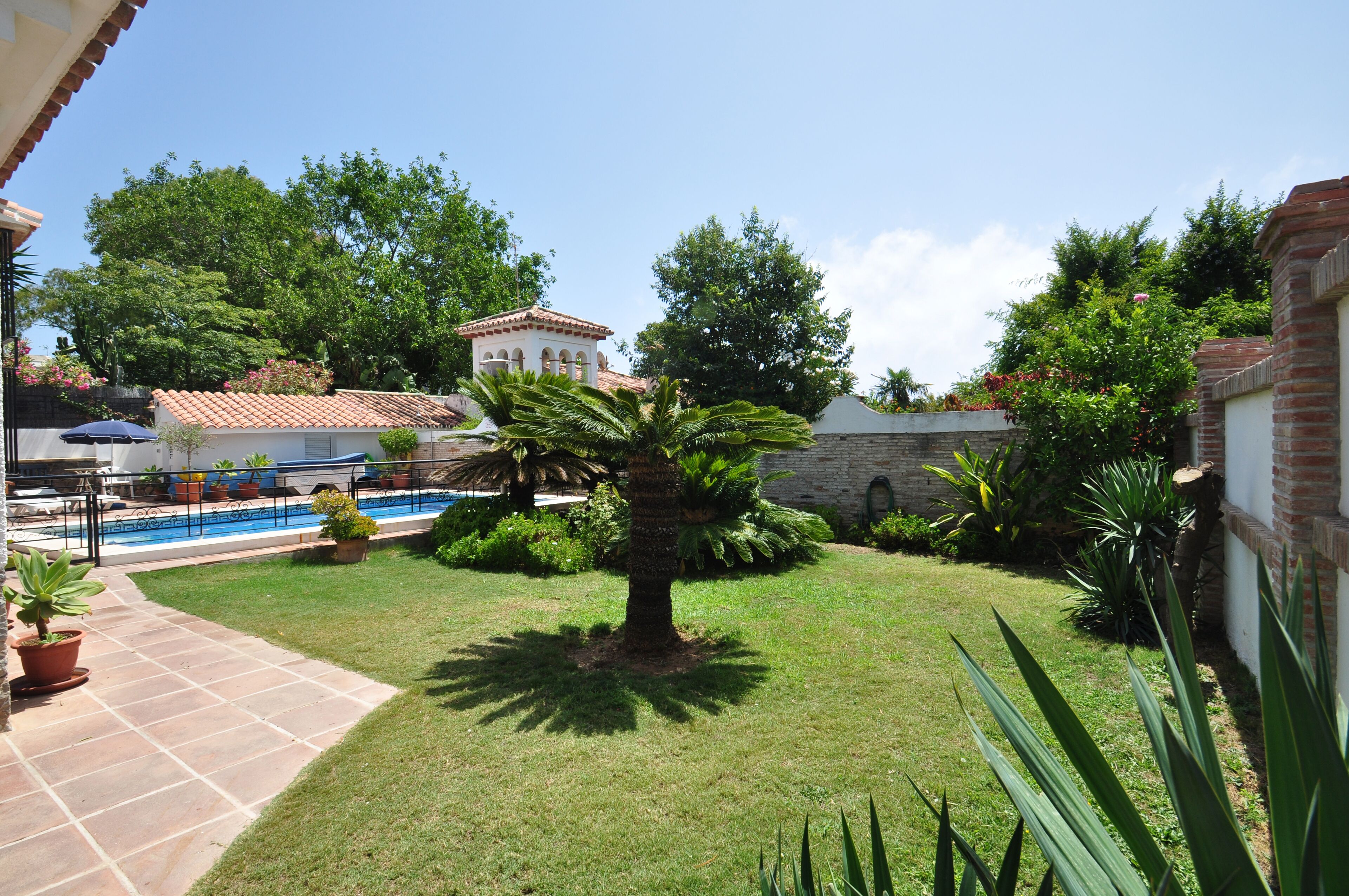 A courtyard with a swimming pool, palm trees, and a white building with a red-tiled roof.