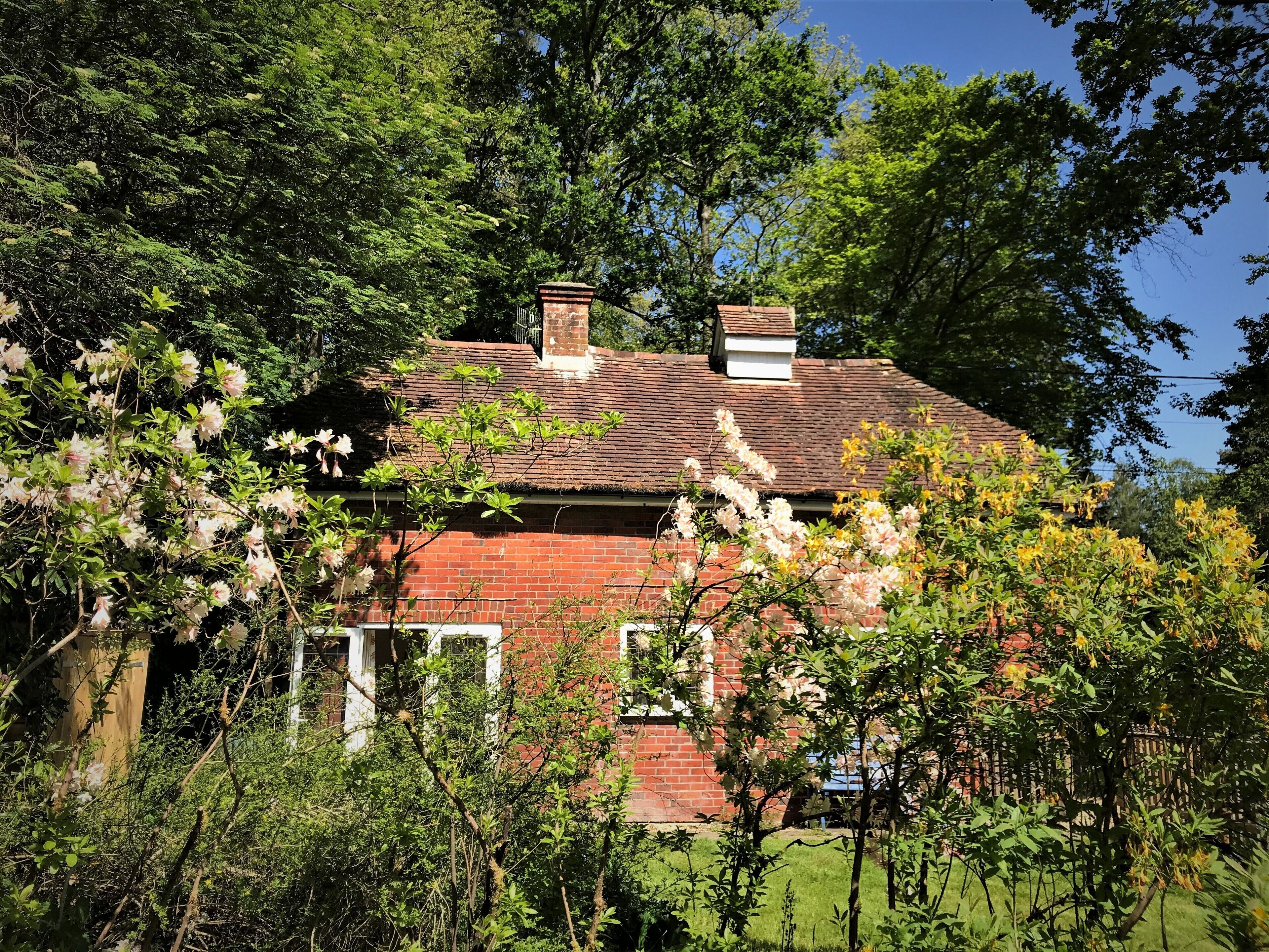 The Squirrels  is a charming detached cottage in the New Forest National Park