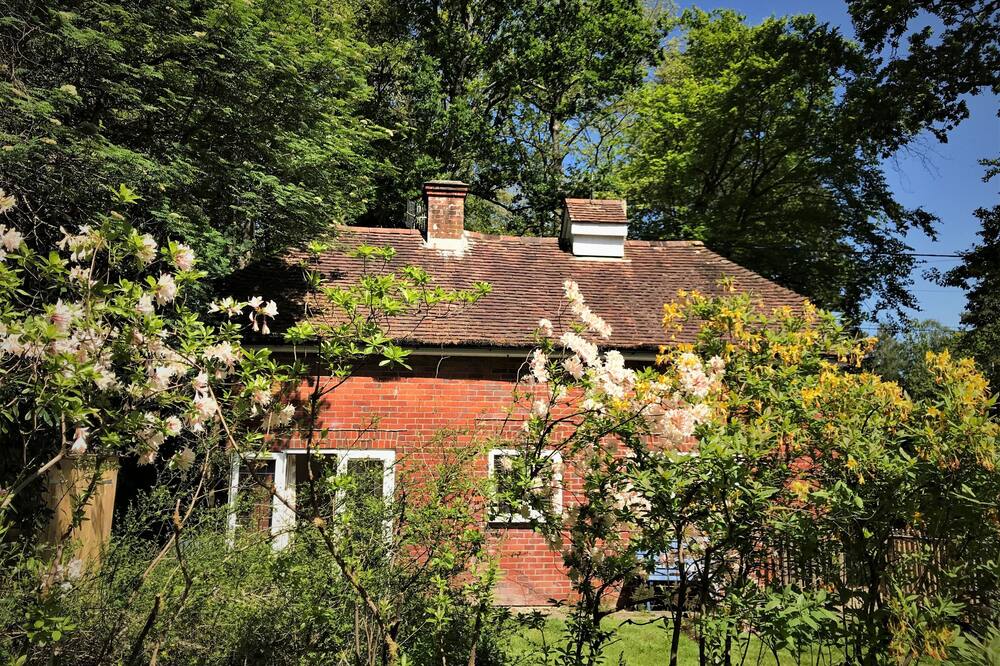 The Squirrels is a charming detached cottage in the New Forest National Park