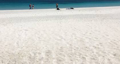 "DESSANAI"
350 mt beach. ROMANTIC house