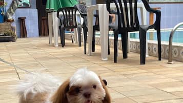 Huisdiervriendelijke voorzieningen