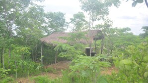 Une cabane rustique à toit de chaume, entourée d’une végétation luxuriante.