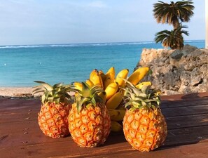 Garden - Aloalo Beach Kabira (Ishigaki)