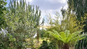 Een tuin met verschillende planten en een barbecueplek.