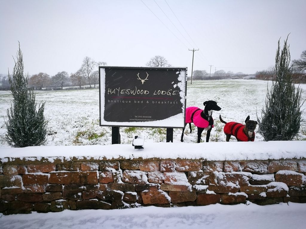 Senyal per a Hayeswood Lodge, un hotel boutique i petit allotjament, amb un mur de maó i terra coberta de neu.