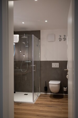 A modern bathroom with a glass-enclosed shower, a toilet, and a sink. - Ferienhof Eichenberg (Haundorf)