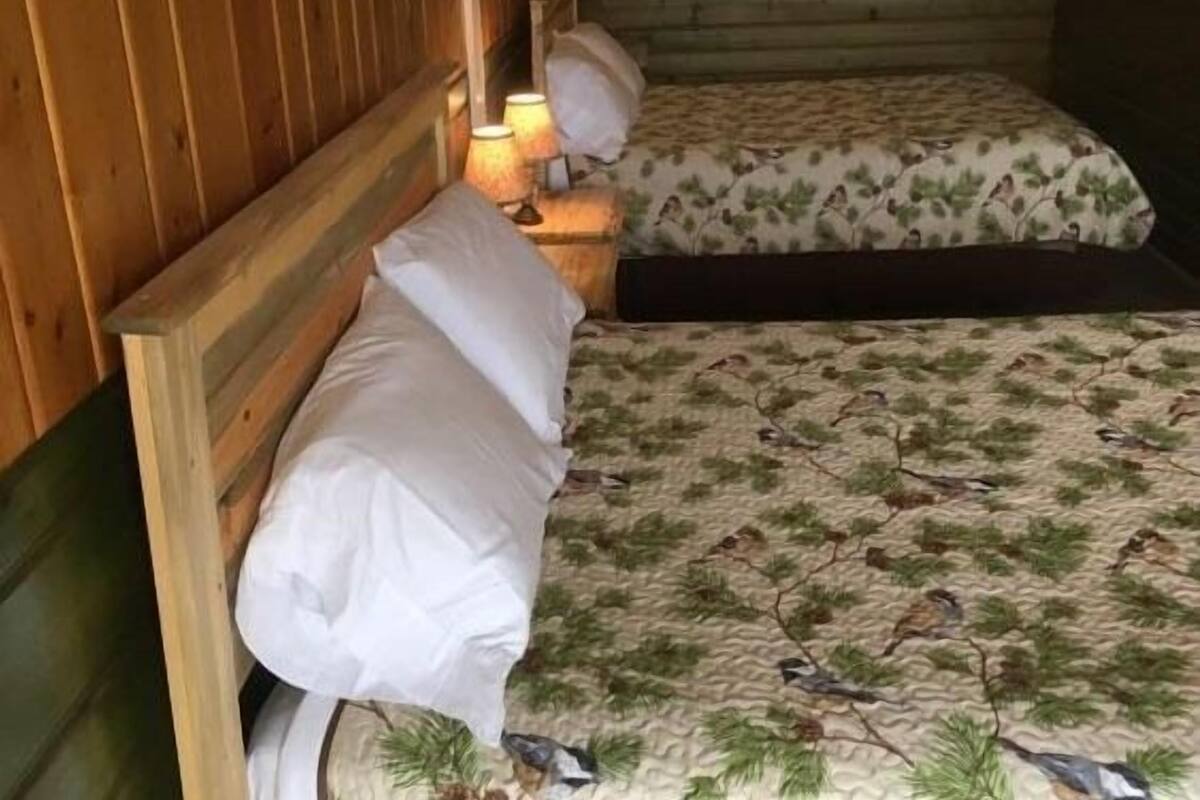 A wooden cabin room with two beds, each with white linens and a patterned bedspread. There are two bedside lamps on a wooden nightstand.