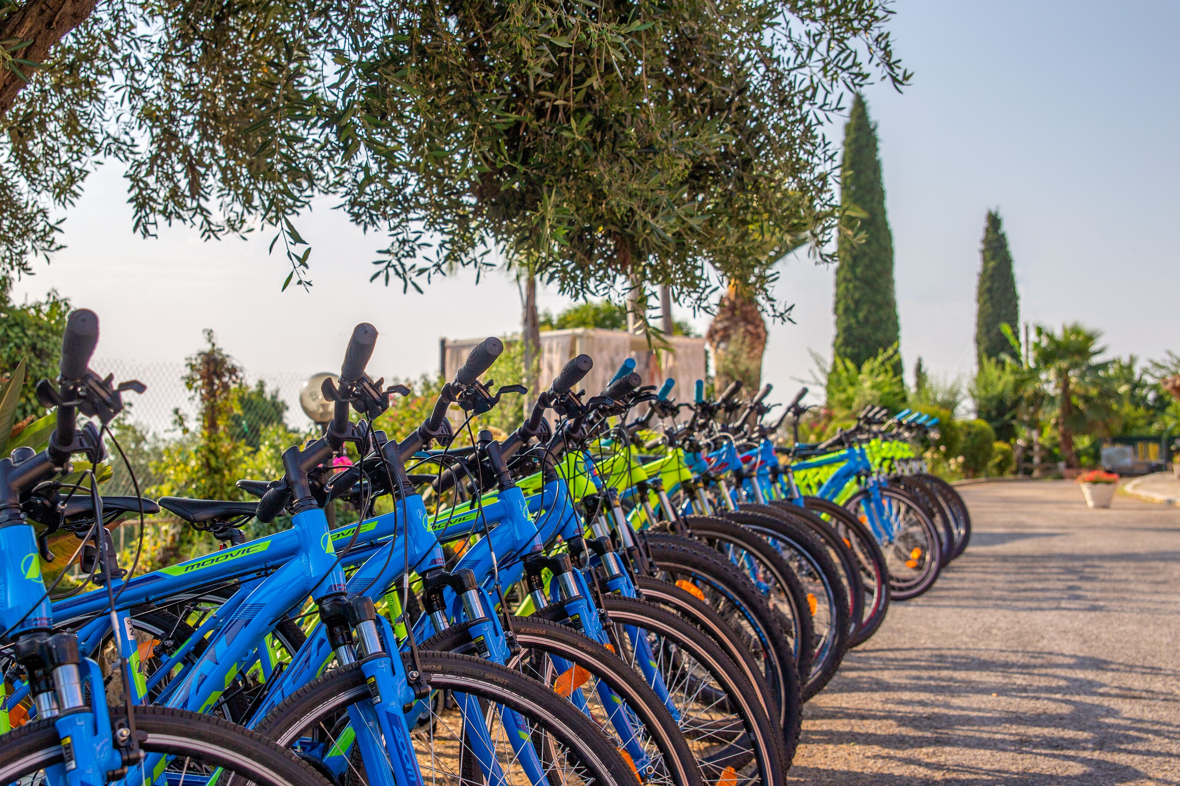 Foto - Victoria Hill Hotel