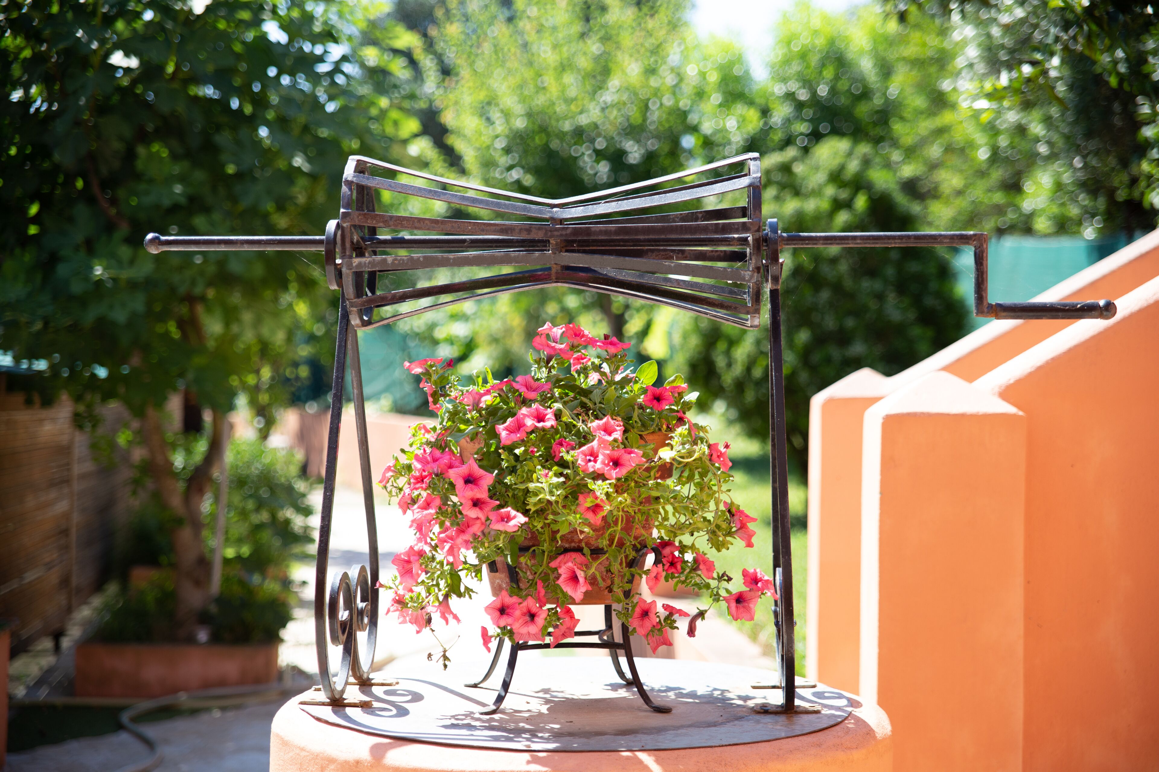 Foto - Victoria Hill Hotel