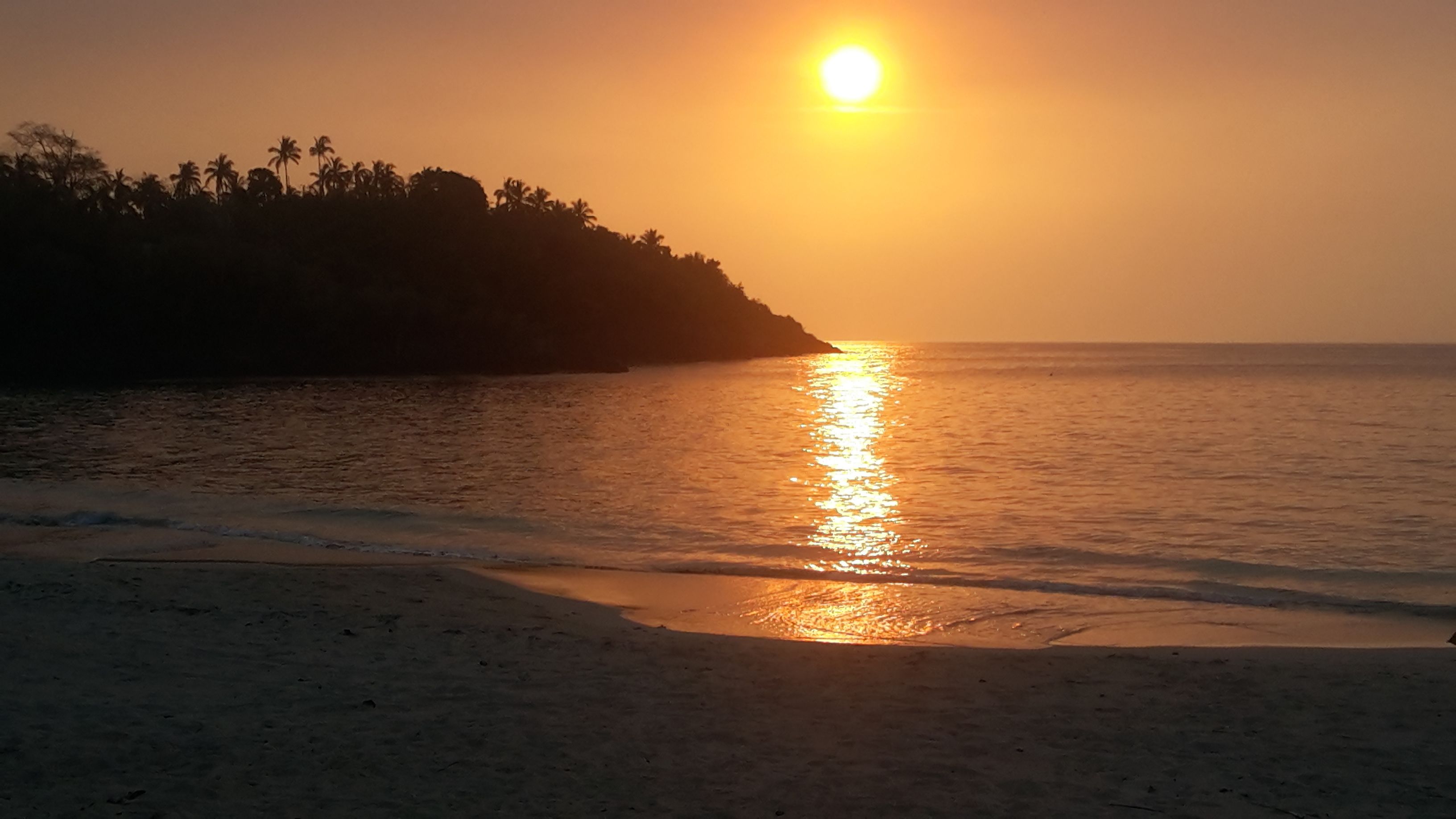 Tramonto su una spiaggia con la silhouette di palme su una scogliera.