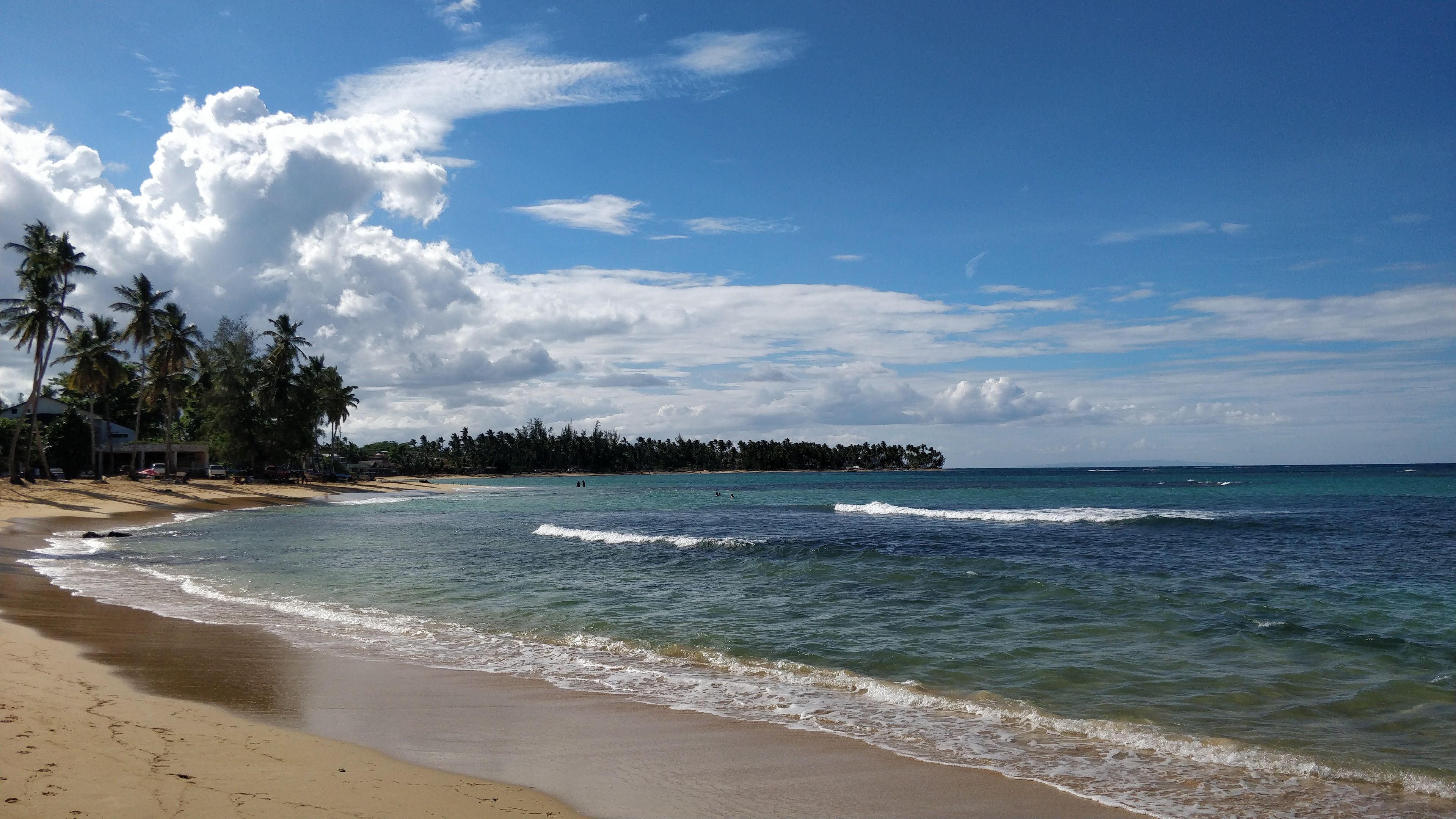A beach with clear blue water, sandy shore, and palm trees.