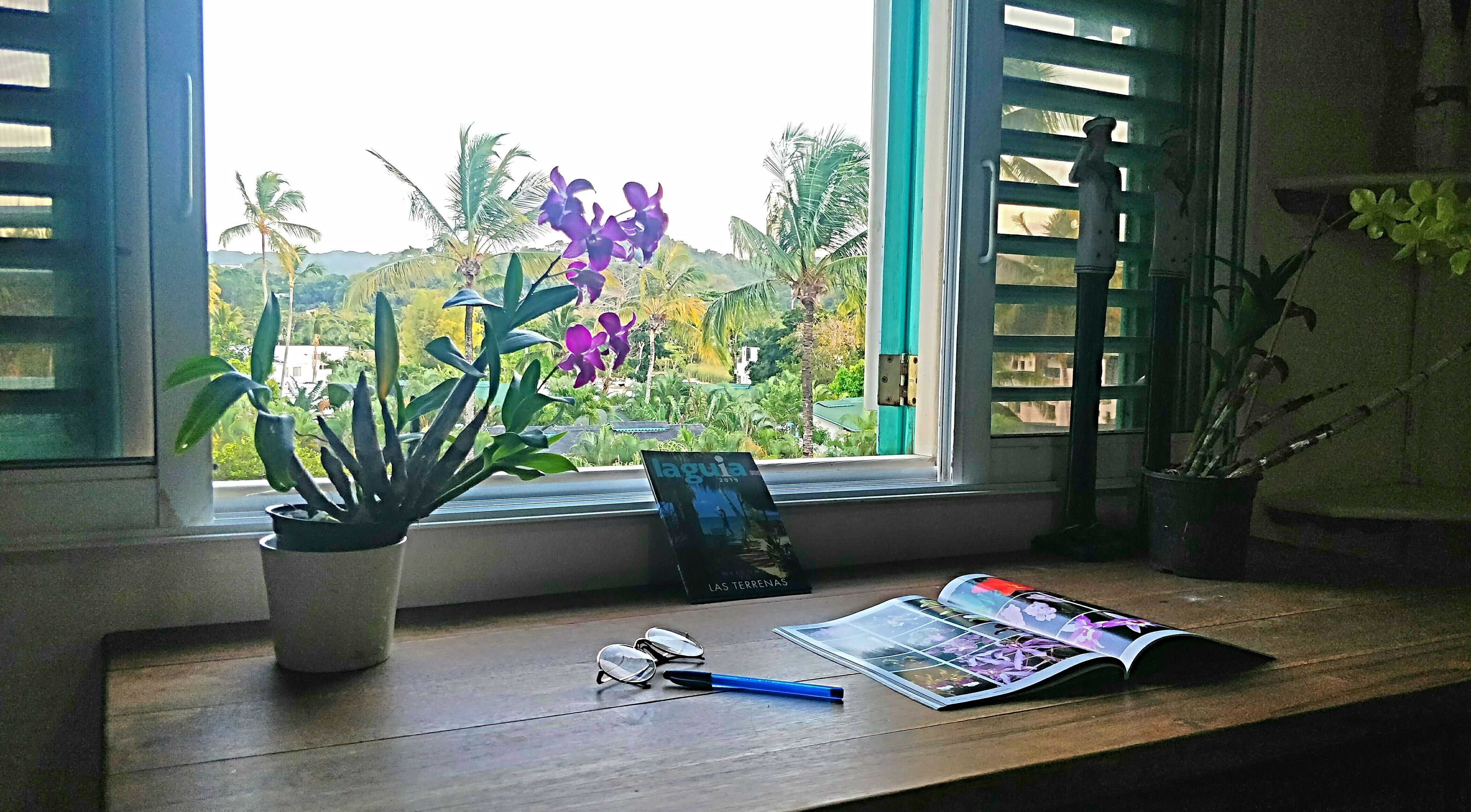 Family Apartment, 3 Bedrooms, Beach View, Beachfront | Mountain view