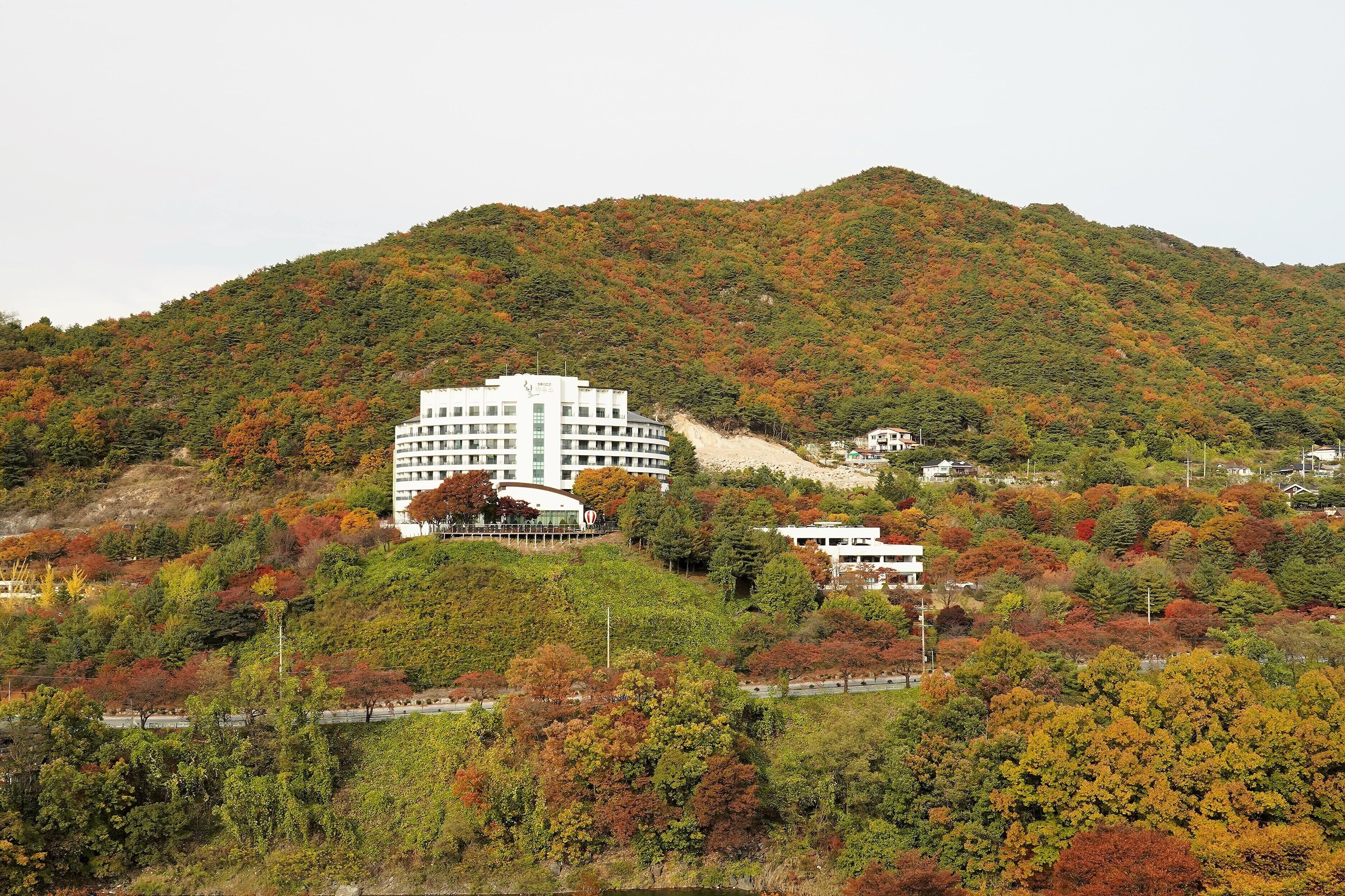 A hotel with a modern design, situated on a hillside with a view of a forested mountain.