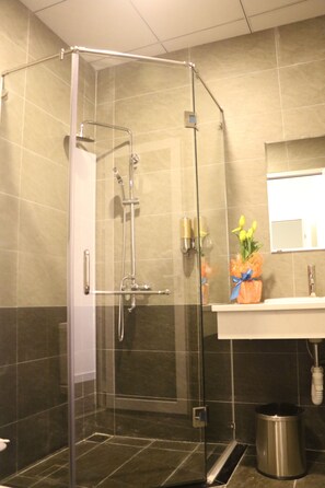 Regadera en el baño