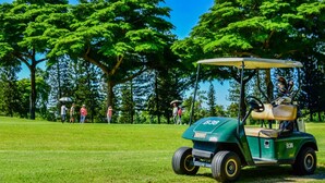 A golf cart on a green with people in the background. - Venice Resort (Lam Luk Ka)