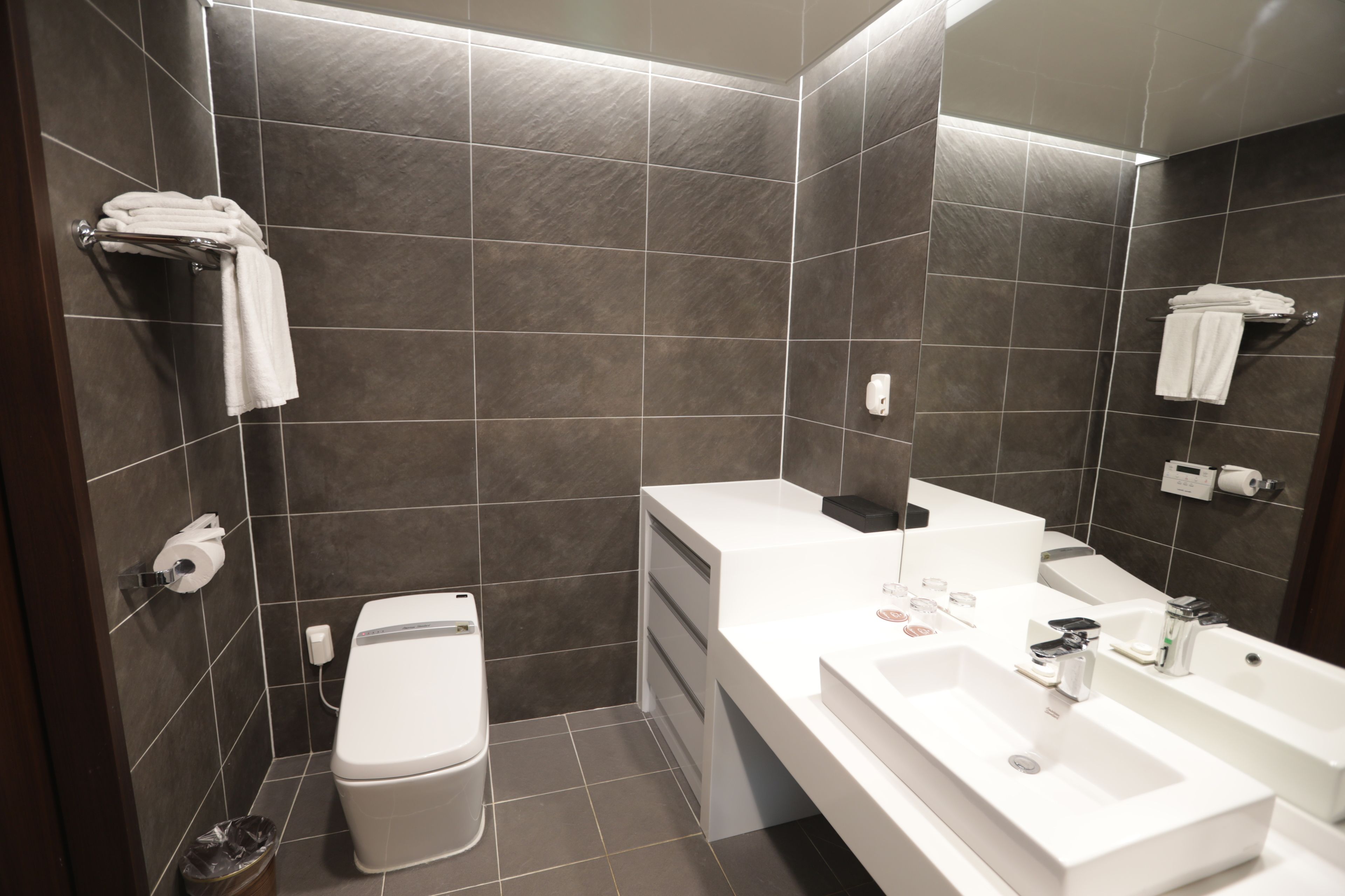 shower, hair dryer, bidet, towels