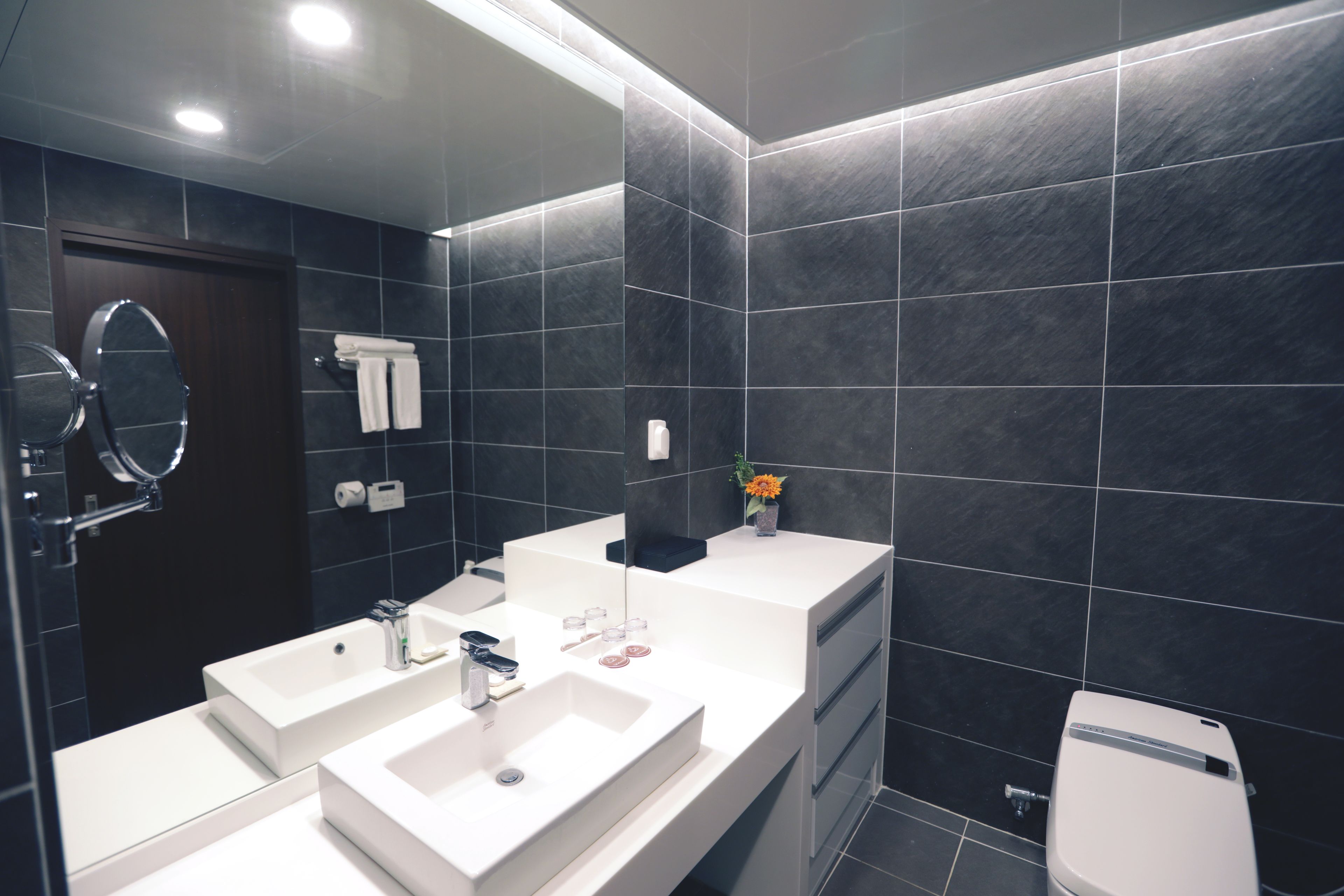 shower, hair dryer, bidet, towels