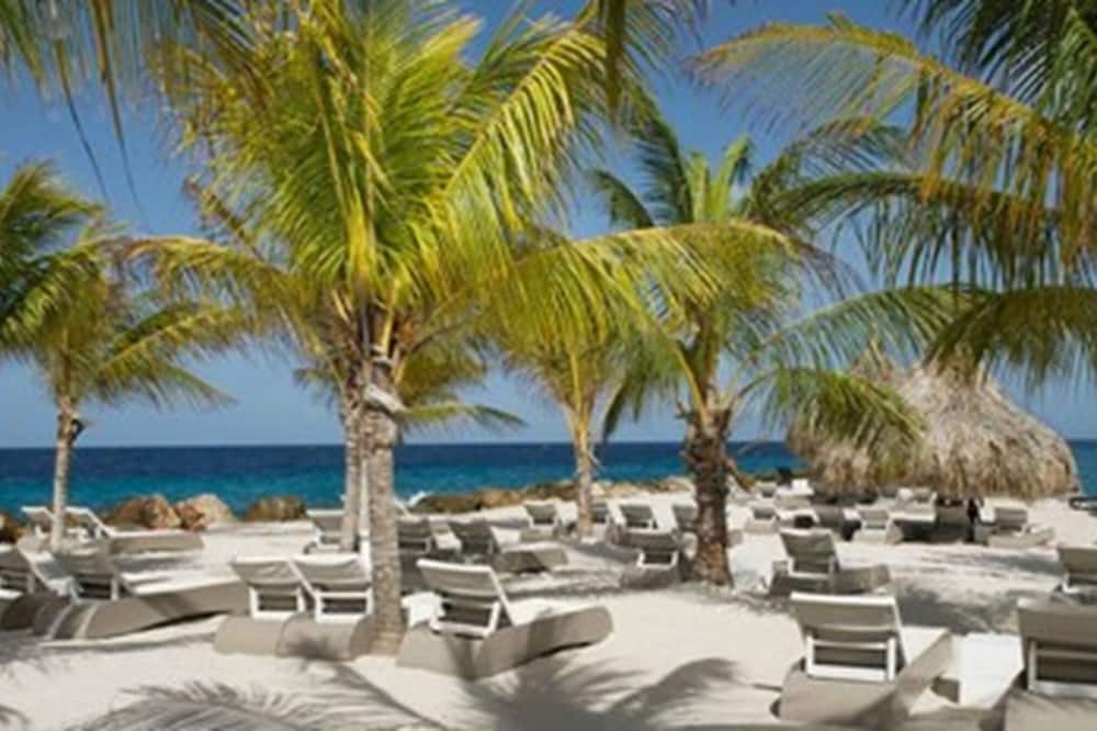 Bed & Bike Curacao - Jan Thiel