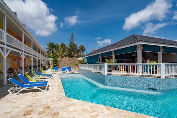 Outdoor pool, sun loungers