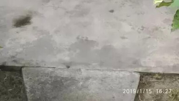 숙박 시설 구내