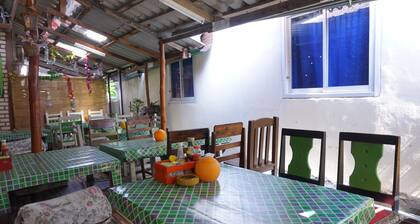 K & M House - Hostel