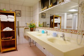 Shower, free toiletries, hair dryer, slippers