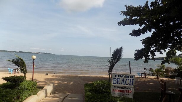 A beach area with a sign prohibiting swimming and littering.