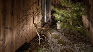 A wooden building with a sloped roof, a small window, and a tree in the foreground. - Mimari (Kanazawa)