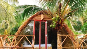 Unclassified image, 3 of 19, button - Green Garden Bungalow Phu Quoc (Phu Quoc)