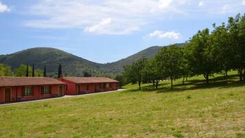 Vista dalla camera