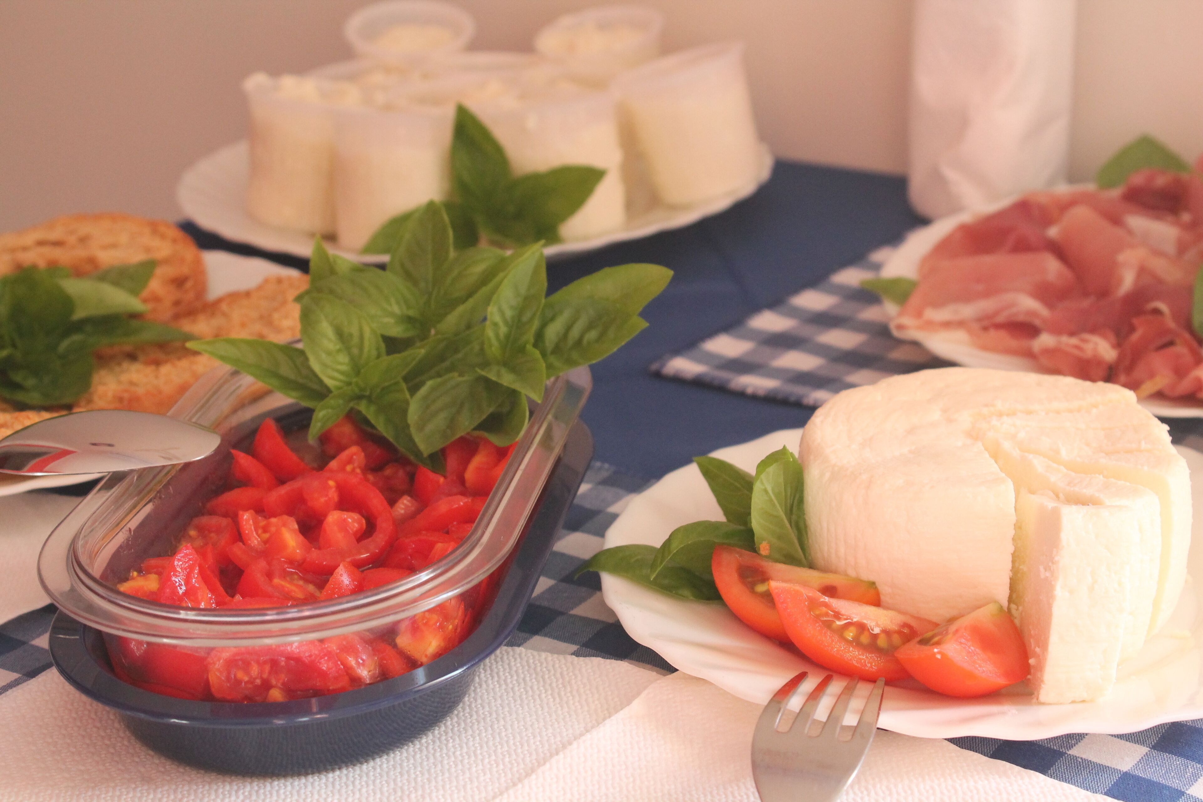 A table with a variety of food items including a bowl of sliced tomatoes with basil, a plate of cheese, and some meat.