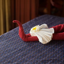 Phòng trị liệu đôi, trị liệu toàn thân, liệu pháp hương thơm